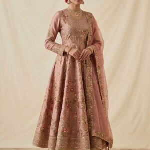 Aarna Embroidered Anarkali